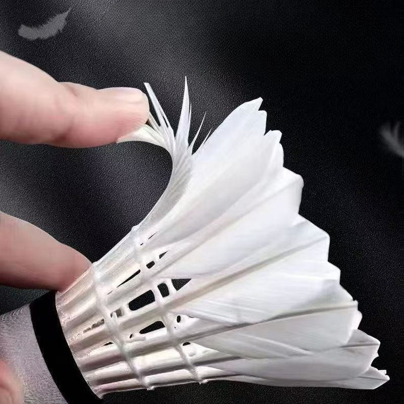 Volantes de badminton de penas - Feather Shuttlecock avaliação e preço