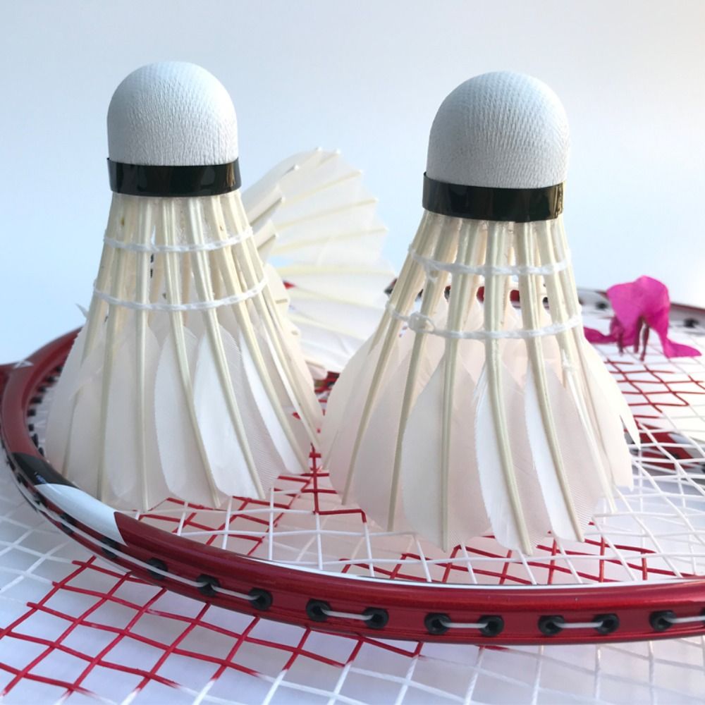 3/6/12 pçs novo branco peteca  - Feather Shuttlecock avaliação e preço
